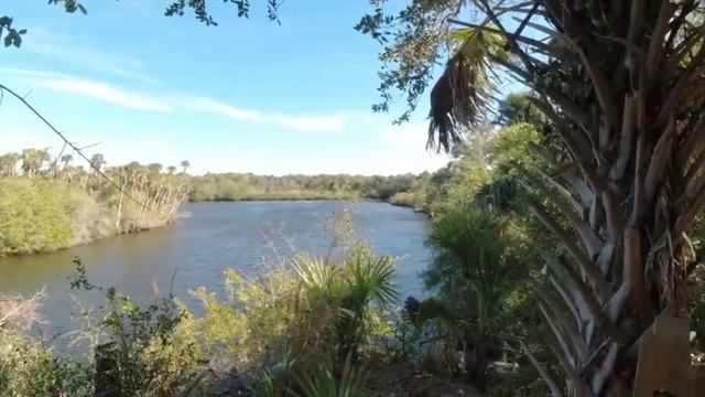 We go camping - Beautiful Florida campsite смотреть онлайн