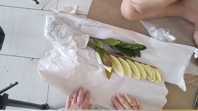 Очередная распаковка цветочной посылочки🥰 смотреть онлайн