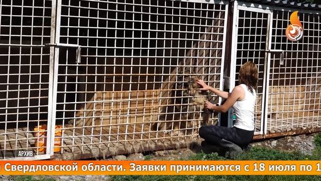 Новости 05 08 2022 смотреть онлайн