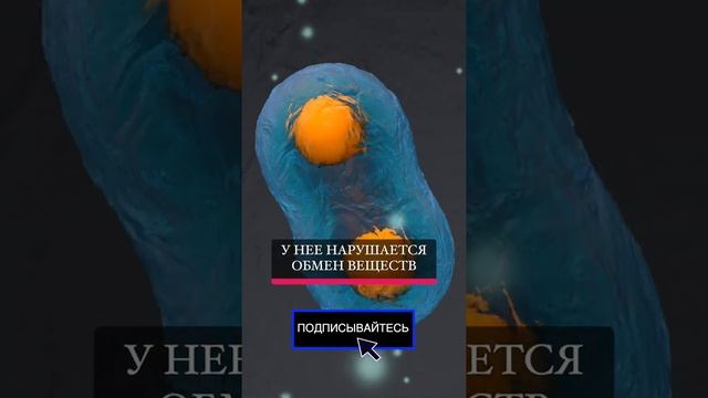 Как сохранить молодость кожи лица смотреть онлайн