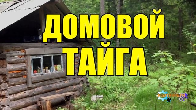 0904 - ИСТОРИИ ИЗ ЖИЗНИ _ ДОМОВОЙ И КОРОВЫ смотреть онлайн
