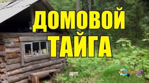 0904 - ИСТОРИИ ИЗ ЖИЗНИ _ ДОМОВОЙ И КОРОВЫ