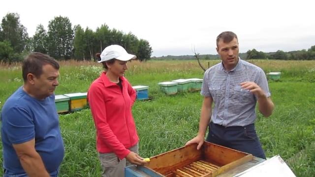 На пасеке у Михаила смотреть онлайн