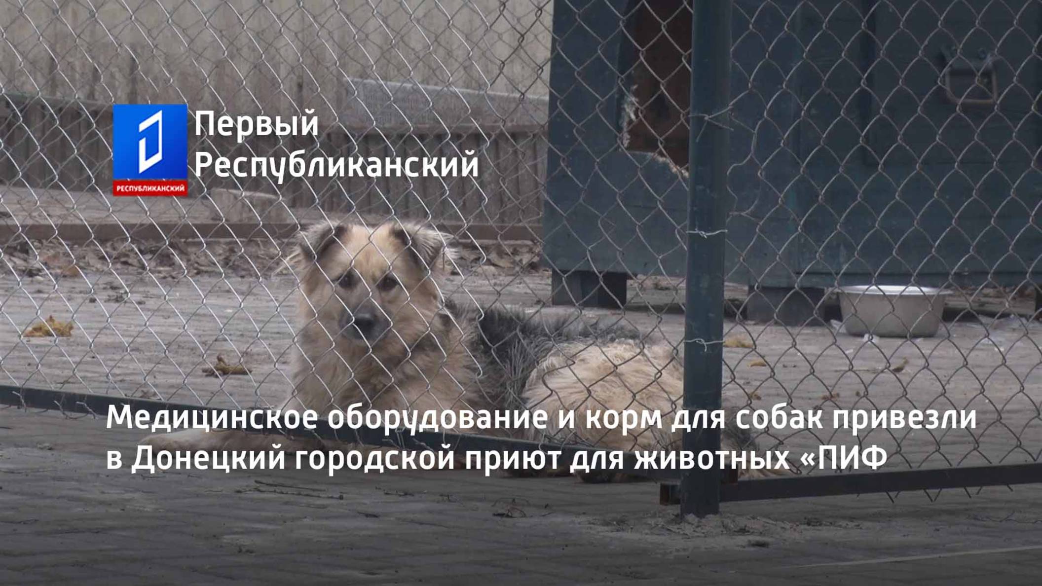 Медицинское оборудование и корм для собак привезли в Донецкий городской приют для животных «ПИФ смотреть онлайн