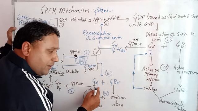G-Protein Coupled Receptor Part 2 [Mechanism Steps] Pharmacology @pioneerpharmaacademyppa-li841 смотреть онлайн