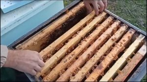 Открываем сезон 2024 года. (16.02.2024)