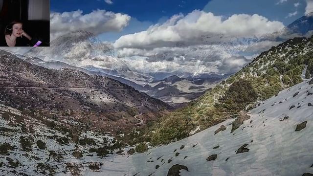 Extinct Animals of Ancient History - REACTION @TheBudgetMuseum смотреть онлайн