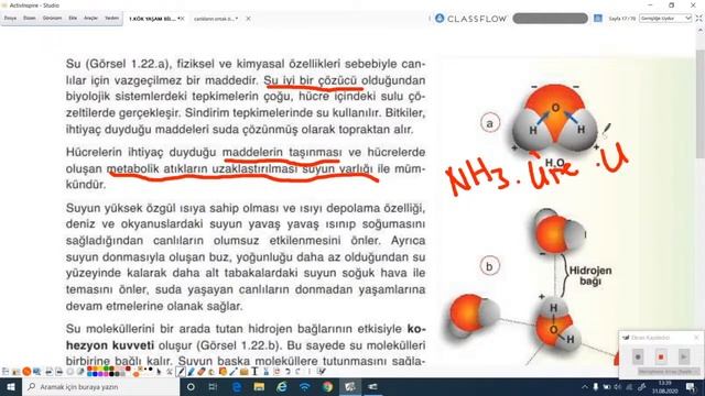 2020-2021 9. Sınıf Biyoloji B9002 - Canlıların Ortak Özellikleri Bölüm-2 | Anlatan Sinem Baltacı смотреть онлайн