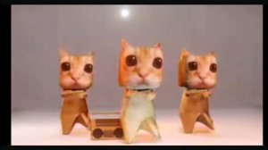 коты жоско зафлексили под шашлык шашлычок шашлычочек #музыка