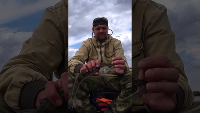 Рыбалка Манит