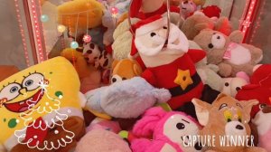 ВЕРНУЛАСЬ ЗА ЗАЙКОЙ, ЗА ДЕДОМ МОРОЗОМ 🎅 (до последнего надеялась на чудо, но...😥)