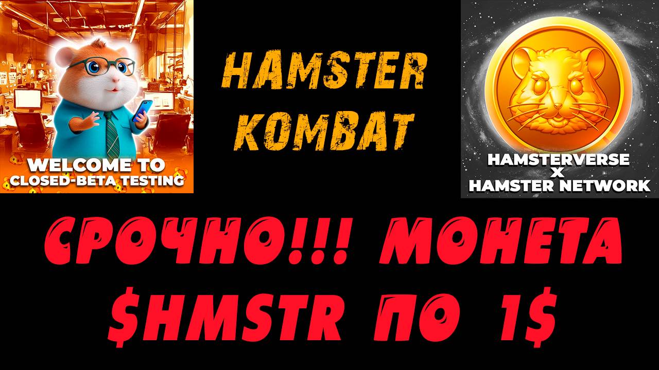 СРОЧНО❗❗❗ HAMSTER KOMBAT🐹🐹🐹 СТОИМОСТЬ HMSTR 1$  #хамстеркомбат #хомяк #hamsterkombat #hmstr