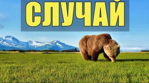 0753 - СЛУЧАЙ В ТАЙГЕ СЧАСТЛИВЫЕ ЛЮДИ ПОМОРЫ СУДЬБА ЧЕЛОВЕКА УДИВИТЕЛЬНЫЕ ИСТОРИИ ИЗ ЖИЗНИ РАССКАЗ М