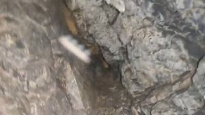 2) Урочище Белый камень