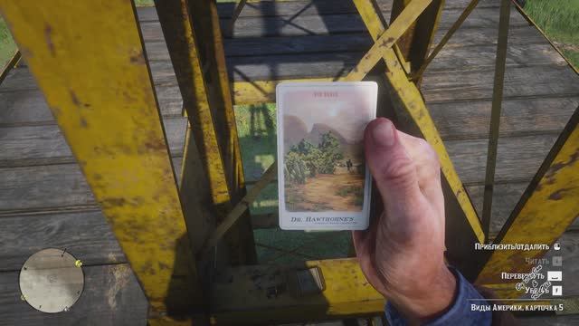 Виды америки карточка 5 Red Dead Redemption 2