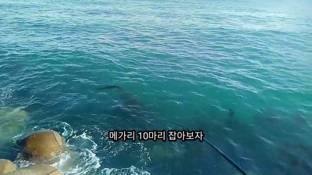 [ 서민낚시 56회 ] 학꽁치 천국. 태풍이 와도 여기는 100여명이 넘는 조사님들이 있는곳. смотреть онлайн