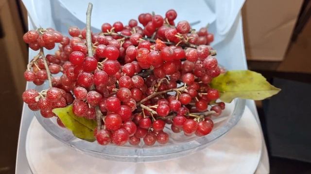 Что такое шефердия и как ее едят