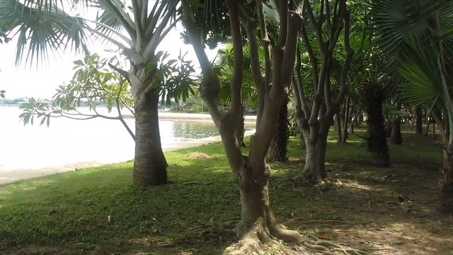 Гуляем по территории отеля Garden Sea View 4 в Паттае