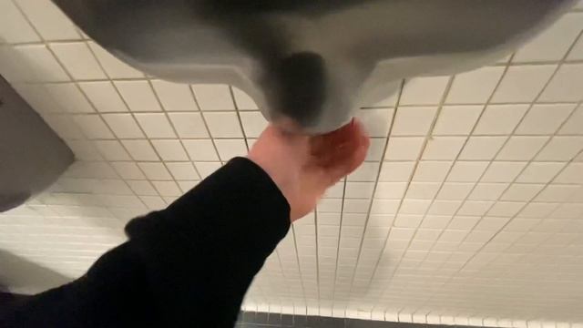 Excel Dryer Xlerators (1/6) @ Chicago Botanic Garden - Glencoe, IL смотреть онлайн