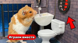 Хомяк сбегает из Тюремного лабиринта для умных животных 🐹 Видео для детей