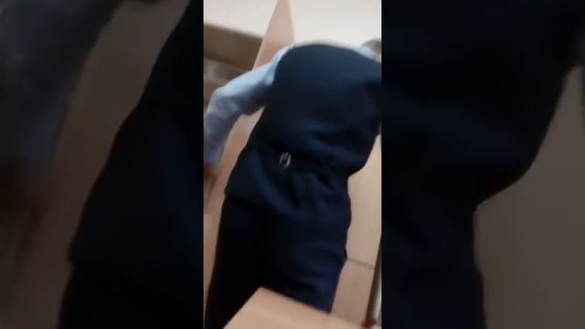 Похождение Стенобоя в школе. (Бурятский мальчик творит чудеса) смотреть онлайн