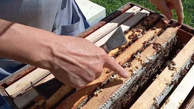 Как правильно ставить рамки в магазин (07.08.2024) смотреть онлайн