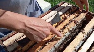 Как правильно ставить рамки в магазин (07.08.2024)