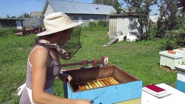 Аномально провальный сезон 2018 года. смотреть онлайн