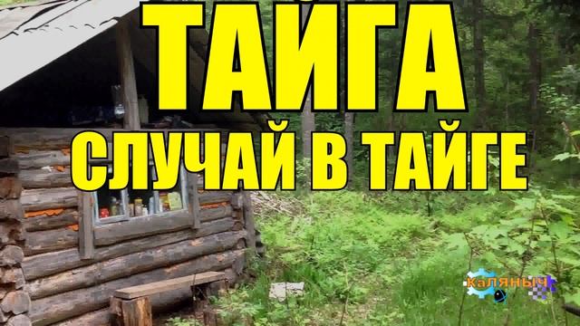 1054 - НЕБЫВАЛОЕ СОБЫТИЕ _ ТАЙГА