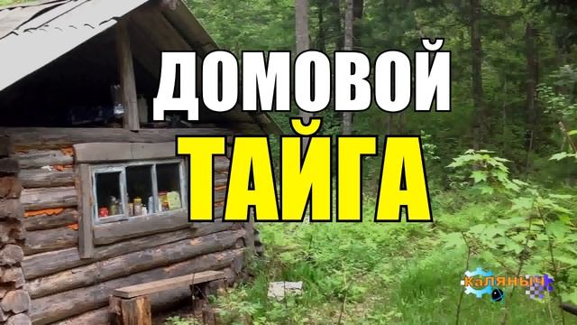 0862 - ДНЕВНИК ДОМОВОГО _ РАССКАЗЫ С ЧЕРДАКА _ ГОЛОС ИЗ ПЕЧИ _ ЖИЗНЬ В ТАЙГЕ