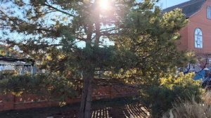 Ейск/Переезд на юг/Ужасная зима на юге/Пожалели ли мы, что переехали на юг? /Как вывести зелёнку