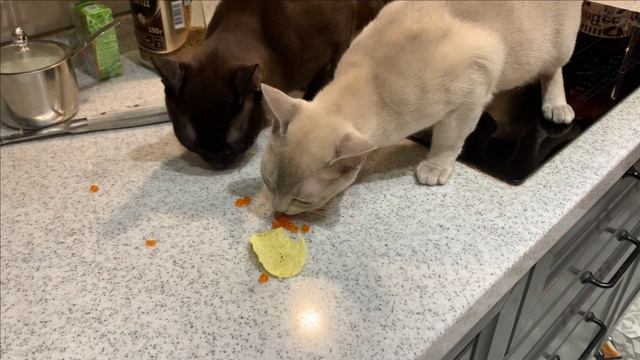 С Наступающим Новым Годом!!!! смотреть онлайн