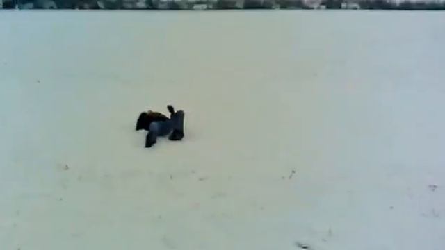 130120131641 смотреть онлайн