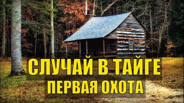 0764 - СЛУЧАЙ В ТАЙГЕ ПОП ОТШЕЛЬНИК СУДЬБА ЧЕЛОВЕКА ПЕРВАЯ ОХОТА С СОБАКОЙ ЖИЗНЬ В ЛЕСУ ИЗБУШКА ЛЕСН смотреть онлайн