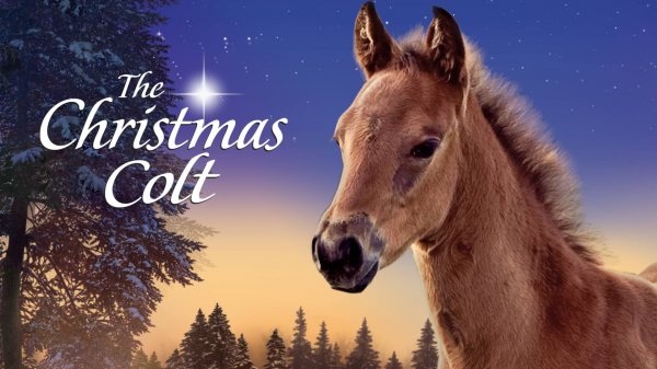 Рождественский жеребенок (2013) / The Christmas Colt