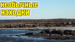 Необычные находки на затопленном городе!Аж руки тряслись!Коп старины с металлоискателем!