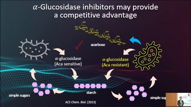"Biosynthetics studies of α-glucosidase inhibitors and antioxidants" смотреть онлайн