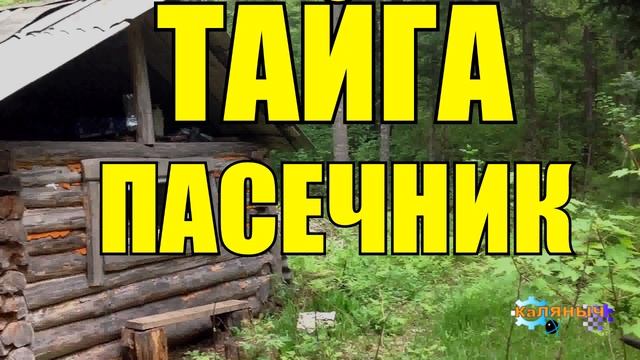 1049 - ПАСЕКА _ ОСОБЫЙ МЕД _ ТАЙГА смотреть онлайн