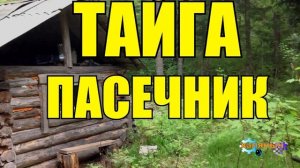 1049 - ПАСЕКА  _ ОСОБЫЙ МЕД _ ТАЙГА