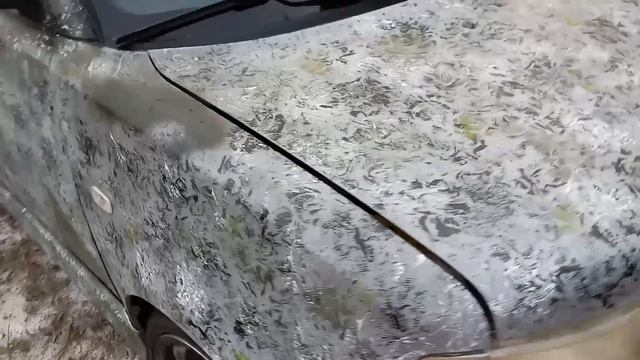 Camouflage Scion XB #rustoleum paint job #sitka #camo смотреть онлайн