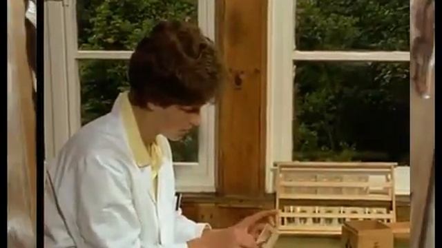 Пчеловодство Вывод маток от А до Я смотреть онлайн