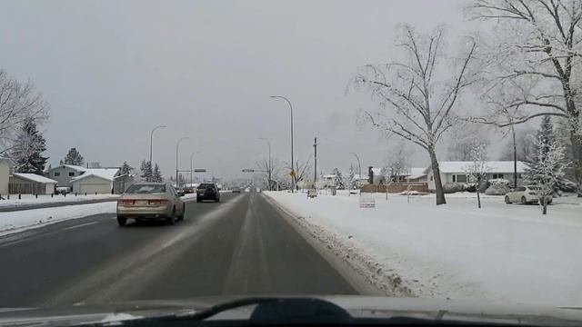 Язык и иммиграция смотреть онлайн