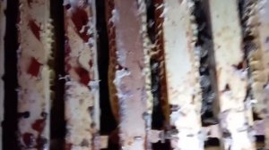 Тестирование инструментальных маток по зимовке (11.03.2024)