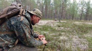 НЕТРОНУТОЕ ГРИБНОЕ МЕСТО. НАШЕЛ СЪЕДОБНЫЕ ЛЕСНЫЕ ГРИБЫ. НЕ ЗРЯ ВЫБРАЛСЯ В ТАЙГУ ЗА ГРИБАМИ.
