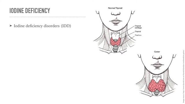 The role of iodine in health and illness смотреть онлайн