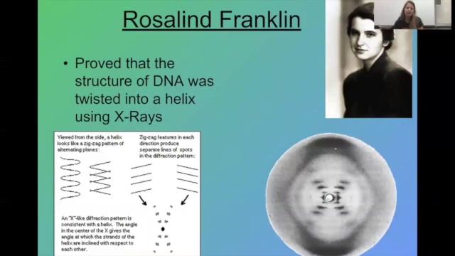 Bio DNA Basics And Replication