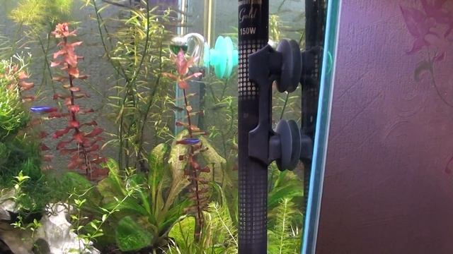 Обогреватель Aquael заводской брак смотреть онлайн
