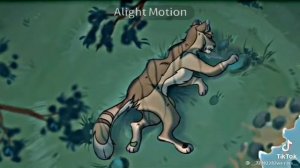 кленовица Эдит для ее)