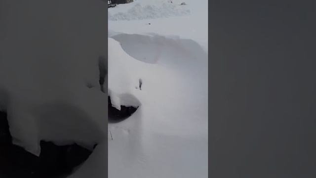 Лол, я упал с крыши, в конце видио Лол смотреть онлайн