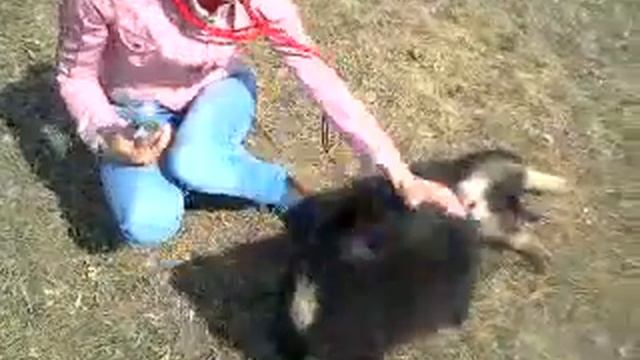 Видео0769 смотреть онлайн